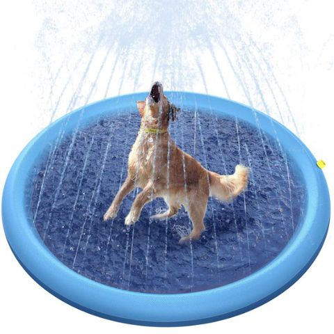 המבוקש ביותר לכלבים בקיץ | PUPYSPLASH®