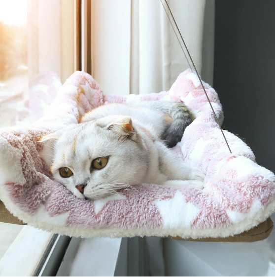 הערסל התלוי חלומו של כל חתול | KITTYVIEW®
